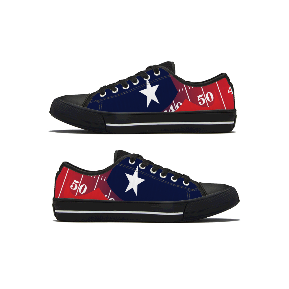 Men's Houston Texans Low Top Canvas Sneakers 001